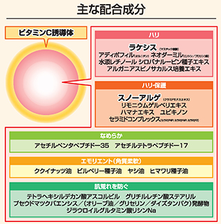 主な配合成分