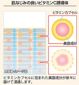 肌なじみの良いビタミンC誘導体