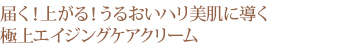 届く！上がる！うるおいハリ美肌に導く極上エイジングケアクリーム 