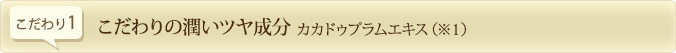 こだわりの潤いツヤ成分　カカドゥプラムエキス