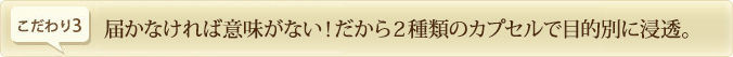 届かなければ意味がない！だから2種類のカプセルで目的別に浸透。