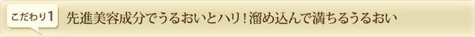 先進美容成分でうるおいとハリ！溜め込んで満ちるうるおい