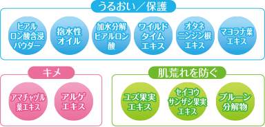 うるおい/保護 キメ 肌荒れを防ぐ