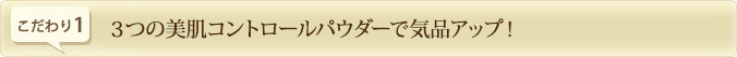 3つの美肌コントロールパウダーで気品アップ！