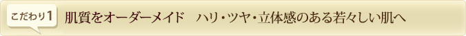 肌質をオーダーメイド ハリ・ツヤ・立体感のある若々しい肌へ
