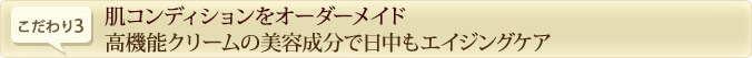 肌コンディションをオーダーメイド 高機能クリームの美容成分で日中もエイジングケア