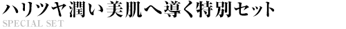 特別セット