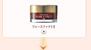 フォースファクト2